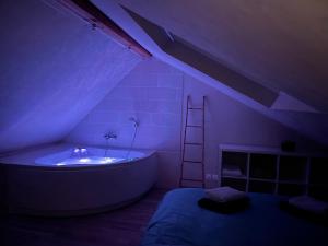 Appartements Le Nid d'Amour 2pers / wifi / sauna : photos des chambres
