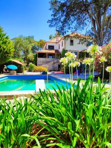 Lugar da Pedra Alta - B&B - Private Historical Villa