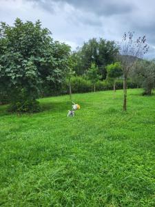 La casa di Ilenia e Alessia