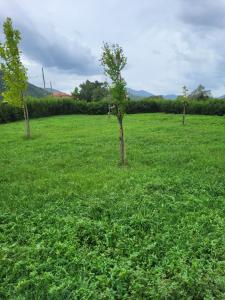 La casa di Ilenia e Alessia