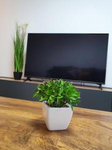 Talsa 1-bedroom apartment in city center Šiauliai