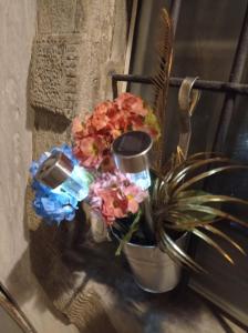 EMY & LU CASA VACANZE CITTA ALTA Centro Storico