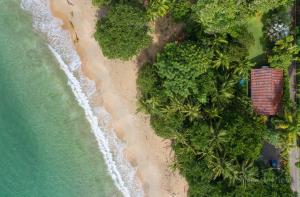 Our Beachfront Bungalow - Unrated properties in Punta Uva