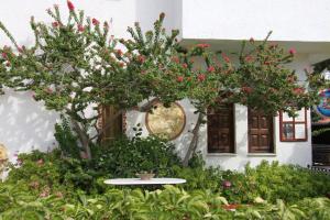 Hotel Mary Samos Greece