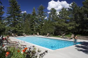 Whispering Red Pine Paradise