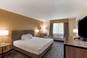 King Room with Mobility Accessible Tub and Sofa Bed room in Best Western Logan Inn