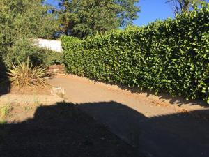 Villa 3 ch, jardin, wifi, proche plage et forêt, quartier calme - FR-1-336-99