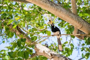 Thapwarin Resort - Green Hotel