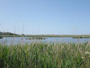 Maison calme près plage Govelins, jardin, BBQ, équipements modernes, idéal familles - FR-1-639-47