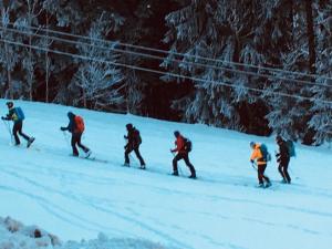 Maisons de vacances Les Sapins : photos des chambres