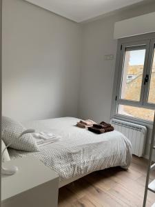 San Sebastián Fresh !! Vivienda & Terraza