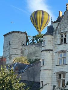 Appartements Le Charles VII - VIENNE : photos des chambres