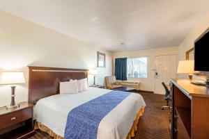 Standard King Room - Non-Smoking  room in Rodeway Inn Phoenix North I-17