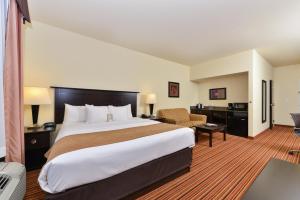 Standard King Suite - Non-Smoking room in Comfort Suites Alexandria