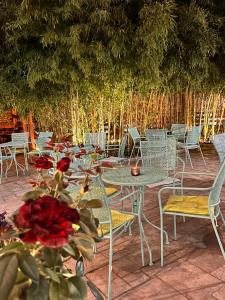 hotel treva