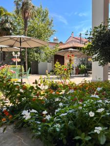 hotel treva