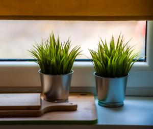 Cosy 2-room apartment near the city centre