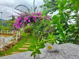 Hoa Sơn Điền Viên Homestay