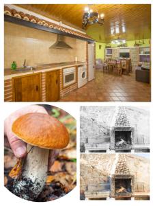 Don Mauricio y periquines