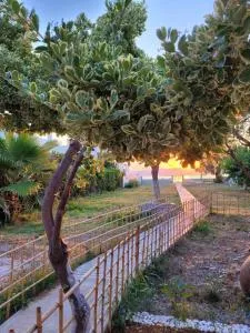 VILLAMARE - 科库宁