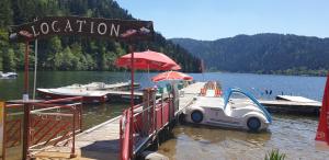 Appartements ROMANN 2 : photos des chambres