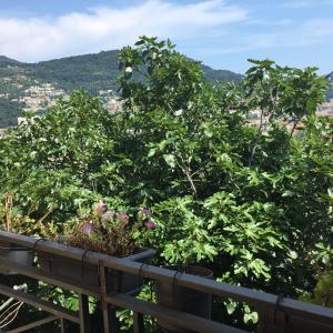 Appartement 02 Vue Panoramique -WIFI- Parking privé -NICE