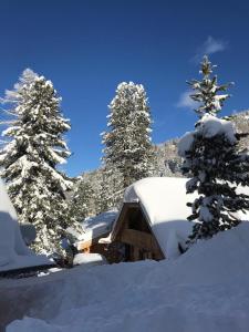 Turrach Chalet Haus Dachs
