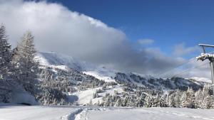 Turrach Chalet Haus Dachs
