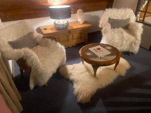 Appartement face Mont Blanc
