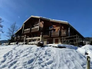 Appartement face Mont Blanc - Ormaret