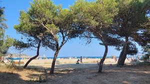 Primera Línea con Vistas al Mar y Piscina