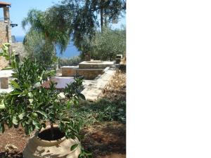 Athina EcoFarm Argolida Greece