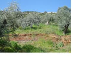 Athina EcoFarm Argolida Greece