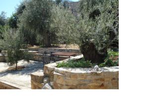 Athina EcoFarm Argolida Greece