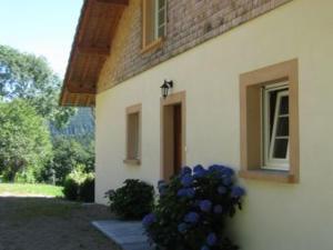 Chalet spacieux avec balcon, WiFi gratuit, proche lac et station de ski - FR-1-589-140