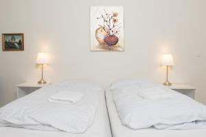 Ljosafoss Lake Guest House