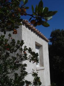 One-Bedroom Villa room in Perla Di Macchia