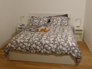 Appartamento Giulio VI