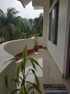 Gogona Homestay