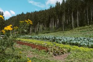 Lärchenwirt Dolomites