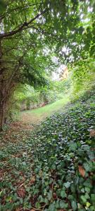 Lugas Apartman Miskolctapolca 2 Hálószoba 50m2 Dézsa és Jakuzzi közel a Barlangfürdőhöz