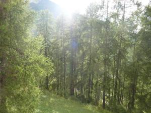 Appartement familial, proche du centre et des pistes, avec terrasse en lisière de forêt - FR-1-322-322