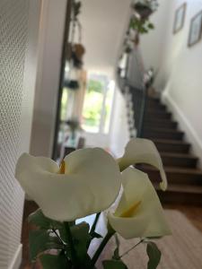 Villa des Roses