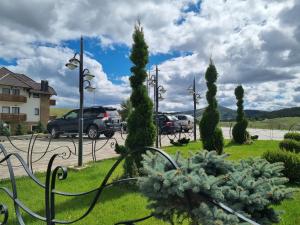 Zlatibor Hills PRESIDENT