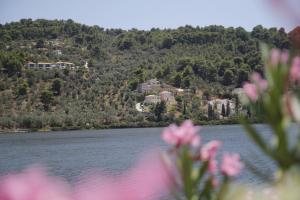 Saint George Villas & Apartments Skiathos Greece