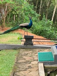 Ella Residence Eco Resort