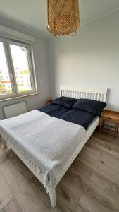 Apartament Dominika
