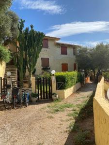 Chia Delizioso nido verde nel blu img8