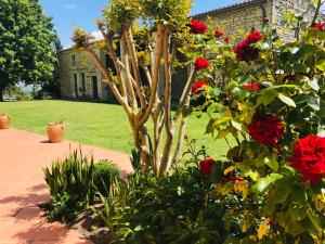 B&B / Chambres d'hotes GIte Au Boom Coeur - petit dejeuner inclus : photos des chambres