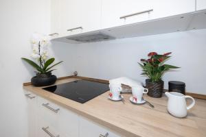 Babuino Luxury Design